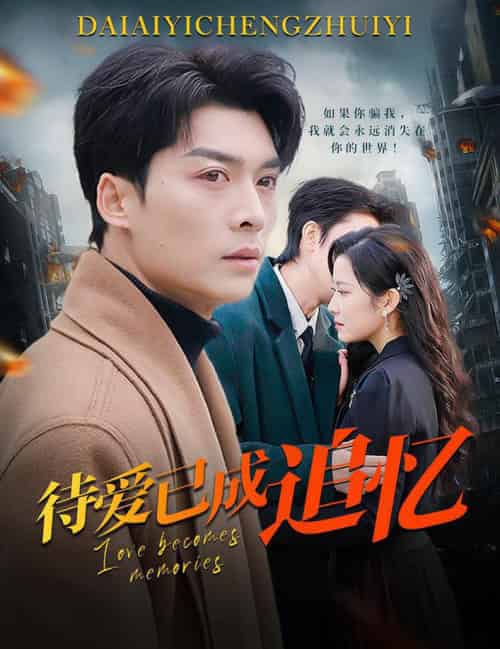 待爱已成追忆（31集全）方正男＆段柒萱 - 海之城短剧