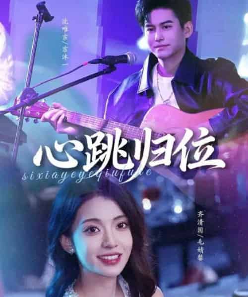 心跳归位（82集全）宗沐一＆毛婧馨-海之城短剧项目