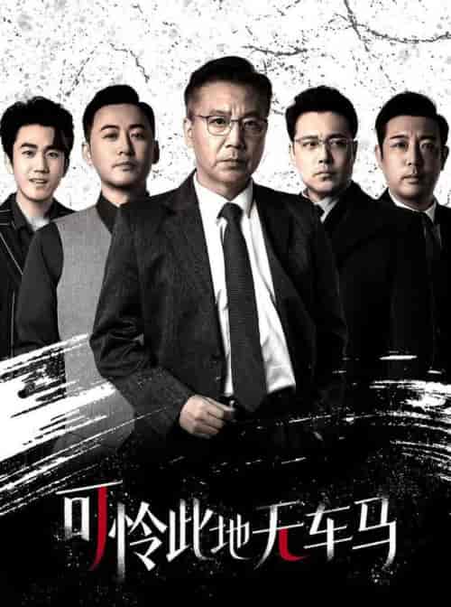 可怜此地无车马＆我骑个电驴怎么了（30集全） - 海之城短剧