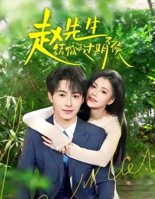 赵先生结婚证过期不候（50集全）郭伊慧＆张宸硕-海之城短剧项目