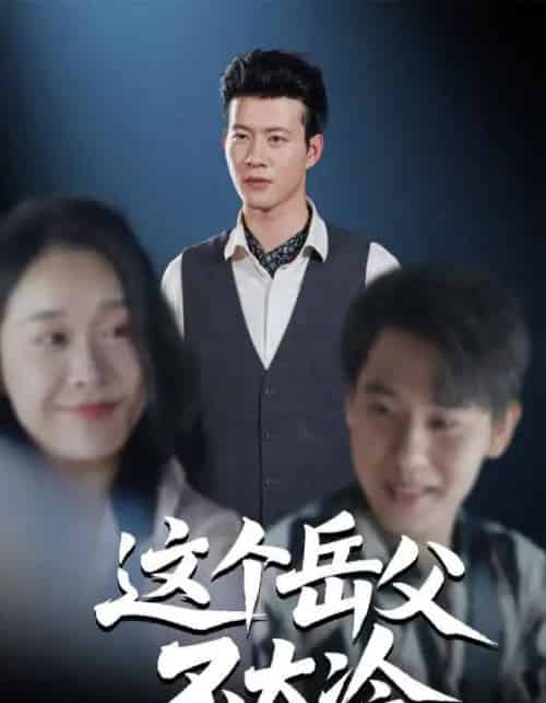 这个岳父不太冷（30集全）黄科＆朱晓冬-海之城短剧项目