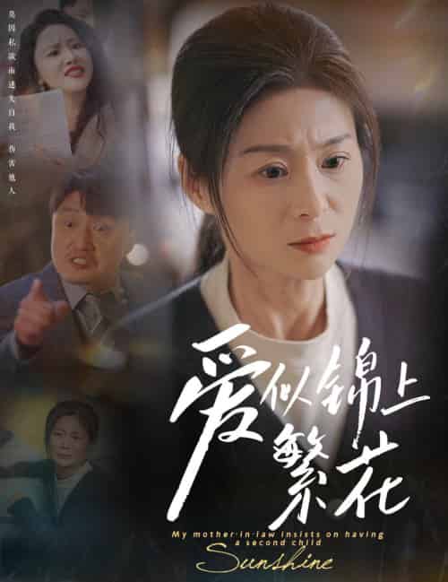 爱似锦上繁花（60集全）邹佳颖＆陈思琦 - 海之城短剧