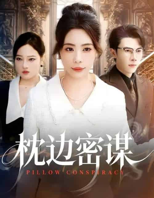 枕边密谋（73集全）秦萍＆陈伟华-海之城短剧项目