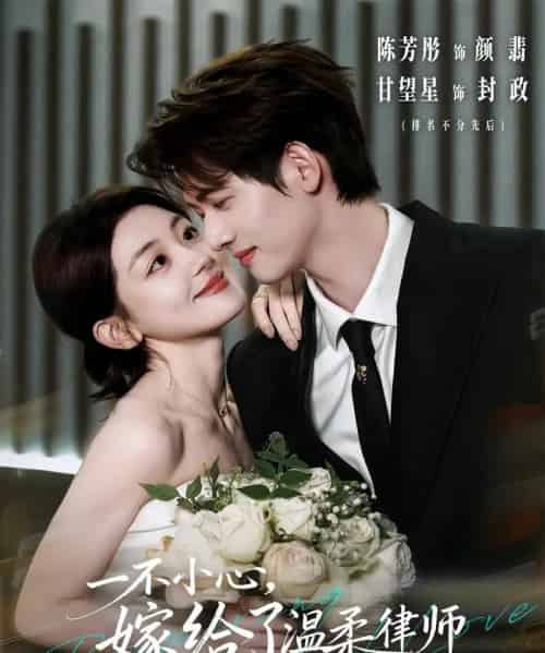 一不小心，嫁给了温柔律师（65集全）陈芳彤＆甘望星-海之城短剧项目