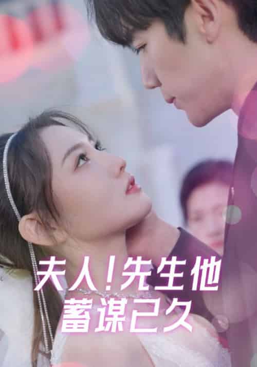夫人！先生他蓄谋已久（99集全）陆宴时＆叶南笙 - 海之城短剧