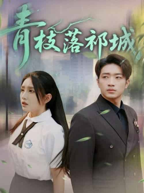 青枝落祁城（71集全）陈坤＆朱心怡 - 海之城短剧