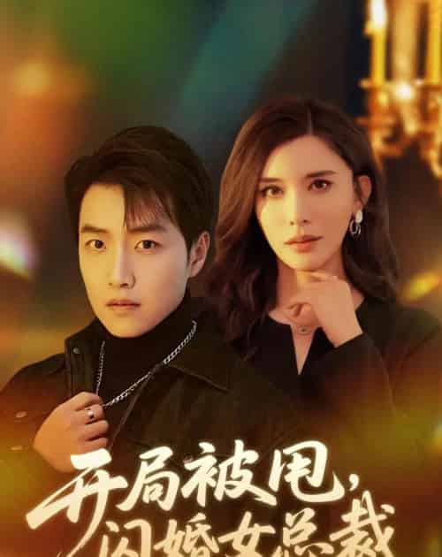 开局被甩，闪婚女总裁（80集全）任志鹏＆王希如-海之城短剧项目