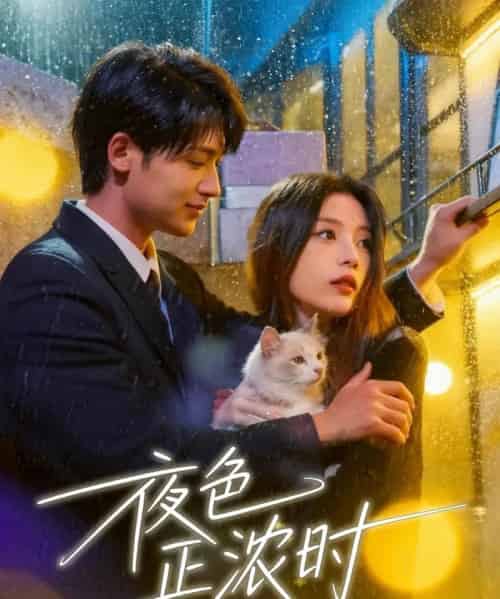 夜色正浓时（32集全）徐梅＆谭伟英＆博之-海之城短剧项目
