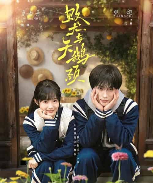 败犬与天鹅颈（71集全）张翅＆至春禾-海之城短剧项目