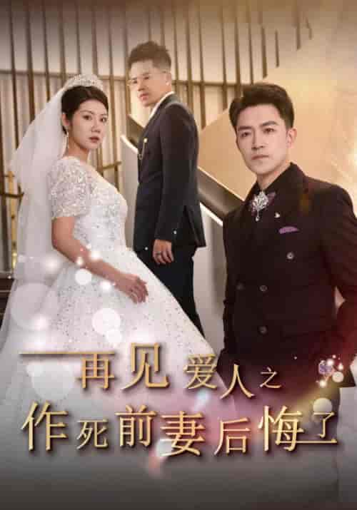 再见爱人之作死前妻后悔了（30集全）裴诚＆苏禾 - 海之城短剧