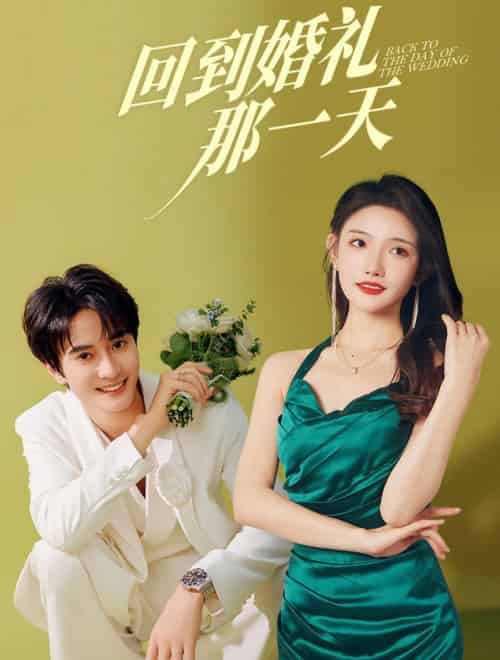 回到婚礼那一天（88集全）陈冠峄＆常丹丹 - 海之城短剧