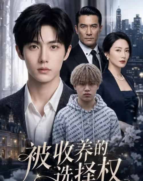 被收养的选择权（88集全）AI-海之城短剧项目