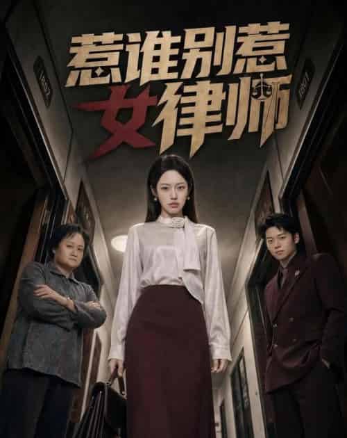 惹谁别惹女律师（61集全）胡继月＆刘广平-海之城短剧项目