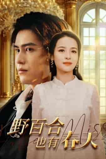 野百合也有春天（85集）王霭玲 - 海之城短剧