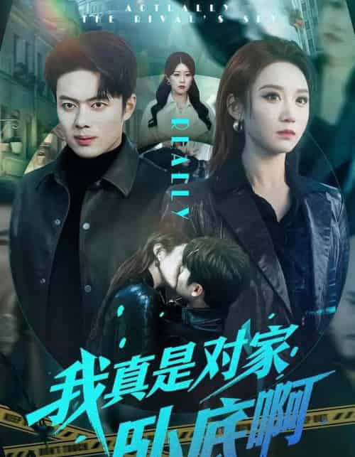 我真是对家卧底啊（100集全）林千仟＆韩一波-海之城短剧项目