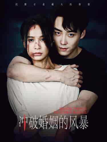冲破婚姻的风暴（29集） - 海之城短剧