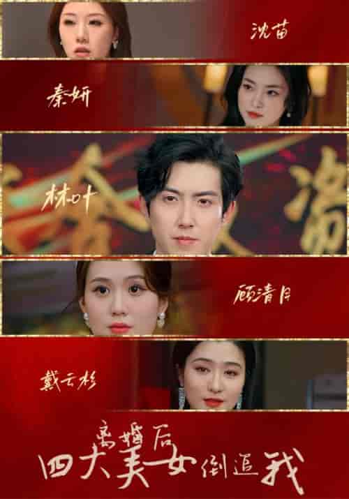 离婚后四大美女倒追我（88集） - 海之城短剧
