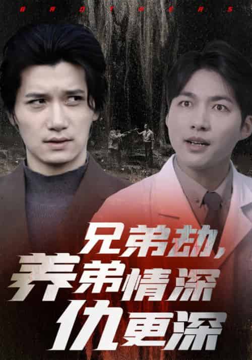 兄弟劫，养弟情深仇更深（35集全）萧凡＆萧云 - 海之城短剧