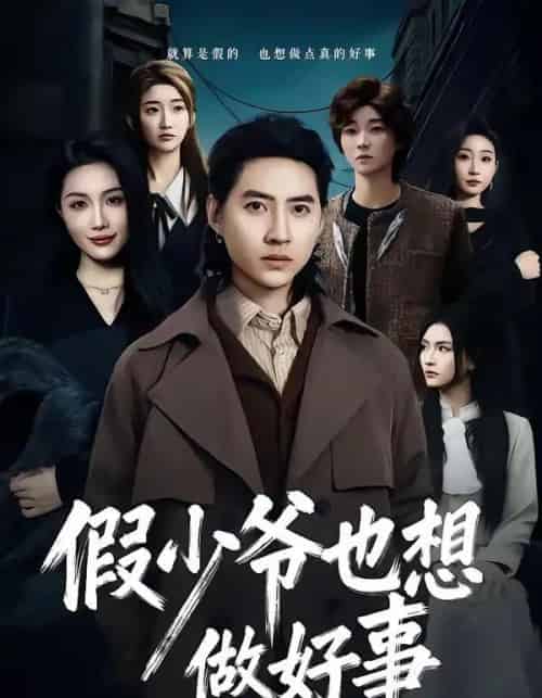 假少爷也想做好事（80集全）苏俊宇＆张潇予-海之城短剧项目