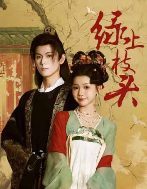 绿上枝头（73集全）何善凯＆李丫丫-海之城短剧项目