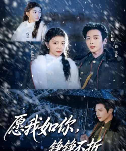 愿我如你，铮铮不折（63集全）马烁棋＆何田田-海之城短剧项目