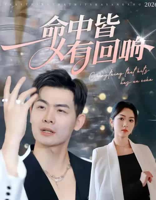 命中皆有回响（62集全）薄艾莹＆周霖-海之城短剧项目