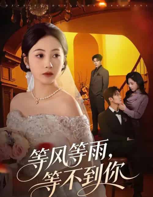等风等雨，等不到你（65集全）陈京霖＆曾和惠子-海之城短剧项目