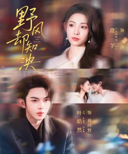 野风却知泱（80集全）叶皓然＆澄芓-海之城短剧项目