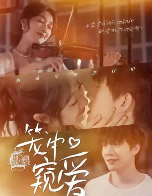 笼中窥爱（68集全）陈敬德＆海依凡-海之城短剧项目