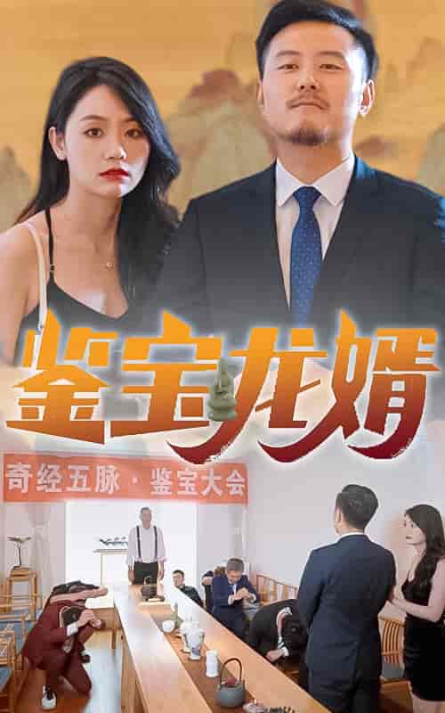 鉴宝龙婿-80集 - 海之城短剧