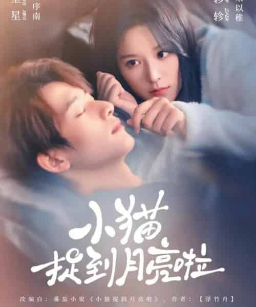 小猫捉到月亮啦（80集全）甘望星＆徐轸轸-海之城短剧项目