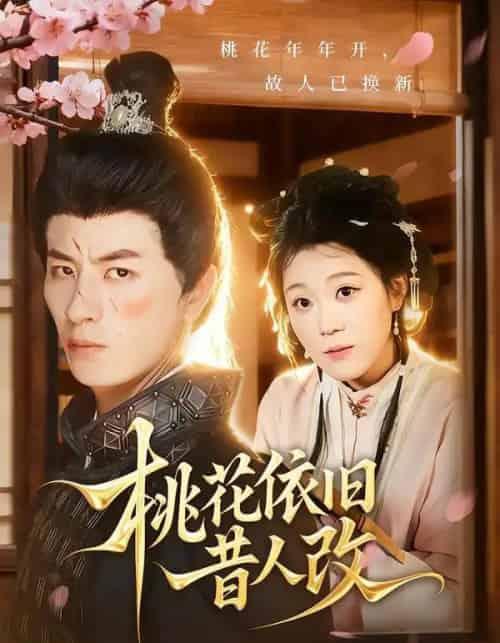 桃花依旧昔人改（72集全）安敏＆刘定琛-海之城短剧项目