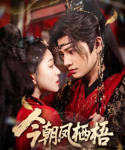 今朝凤栖梧（68集全）柳甯＆韩录锦-海之城短剧项目