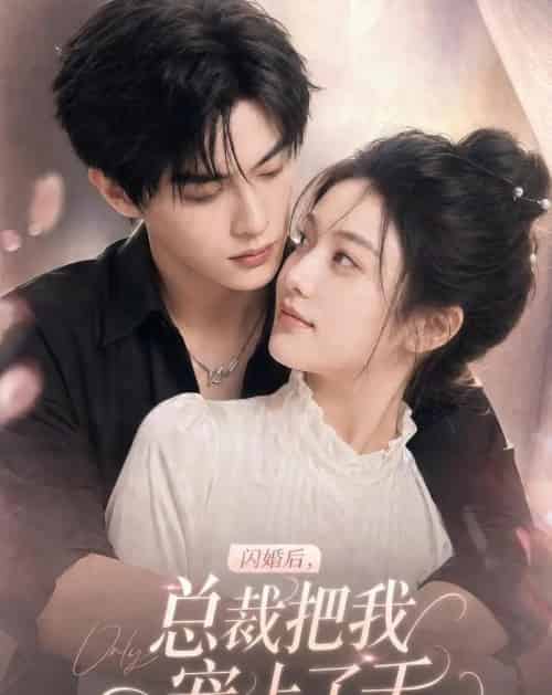闪婚后，总裁把我宠上了天（100集全）AI-海之城短剧项目