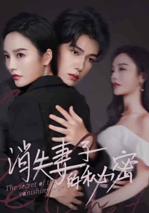 消失妻子的秘密（60集全）苏译＆梁云歌 - 海之城短剧
