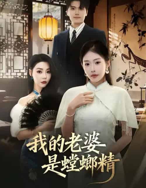 我的老婆是螳螂精（53集全）杜依依＆林嘉翊＆乔婉宁-海之城短剧项目