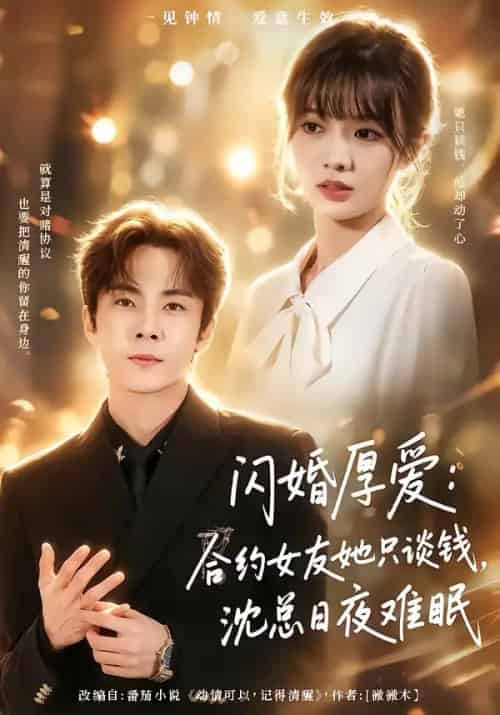 闪婚厚爱：合约女友她只谈钱，沈总日夜难眠（80集全）张天方＆王靖雯 - 海之城短剧