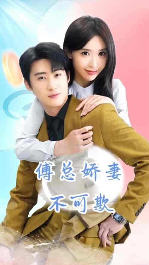 傅总娇妻不可欺（60集） - 海之城短剧