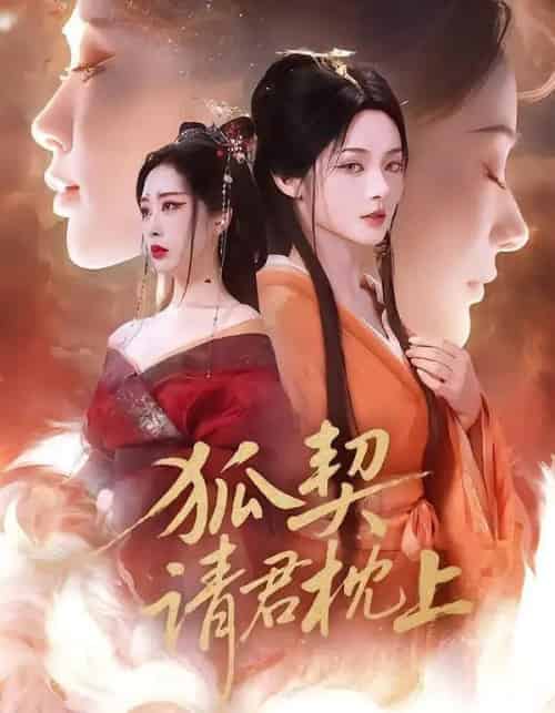 狐契：请君枕上（81集全）毛祁生＆觅七-海之城短剧项目