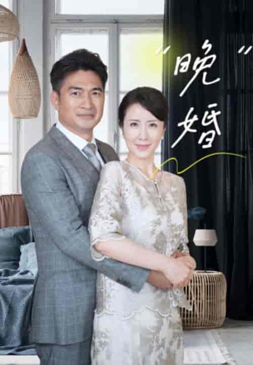晚婚（65集全）秦鹏海＆宋秋华 - 海之城短剧