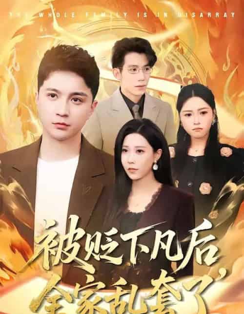 被贬下凡后，全家乱套了（88集全）建泽正＆岳舒窃-海之城短剧项目