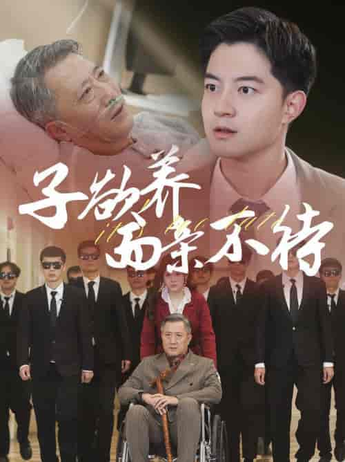子欲养而亲不待（70集全） - 海之城短剧