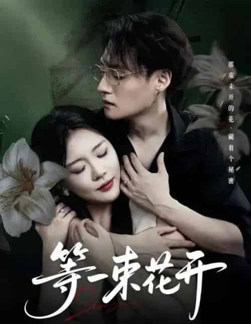 等一束花开（71集全）安敏＆强宇-海之城短剧项目