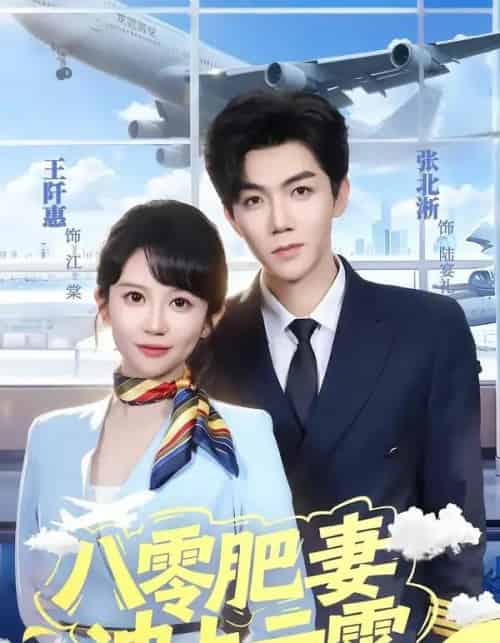 八零肥妻冲上云霄（66集全）张北淅＆王阡惠-海之城短剧项目