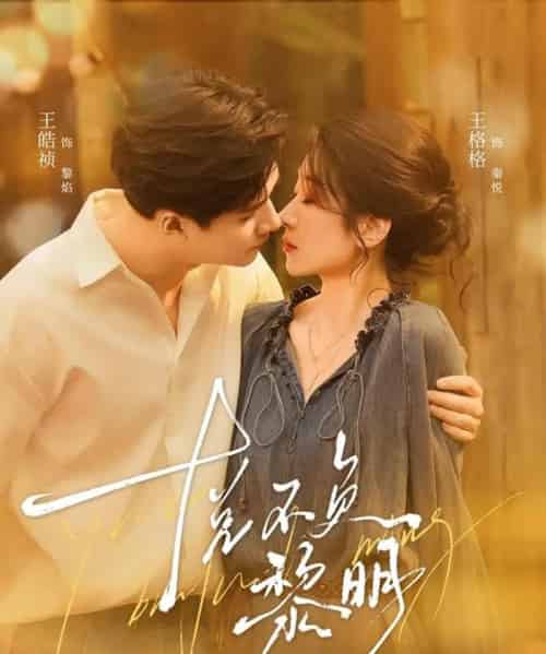 悦不负黎明（61集全）王皓祯＆王格格-海之城短剧项目