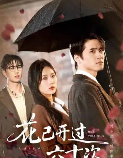 花已开过六十次＆情敌交手她选择躺赢（72集全）傅汉源＆赵佳欣-海之城短剧项目