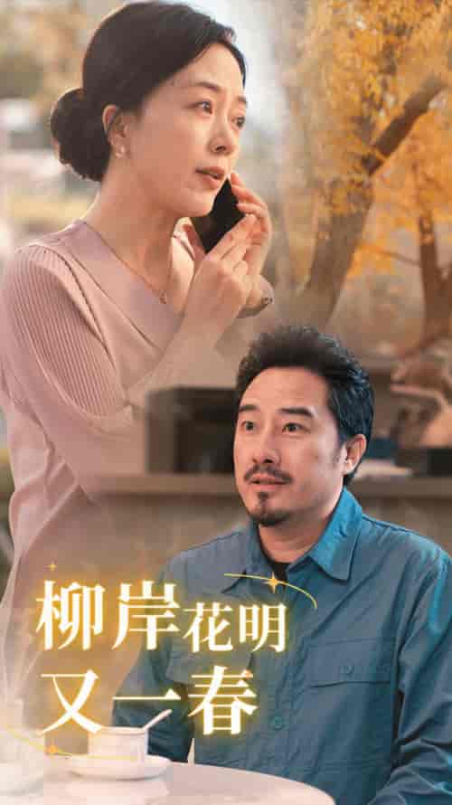 柳暗花明又一春（40集全） - 海之城短剧