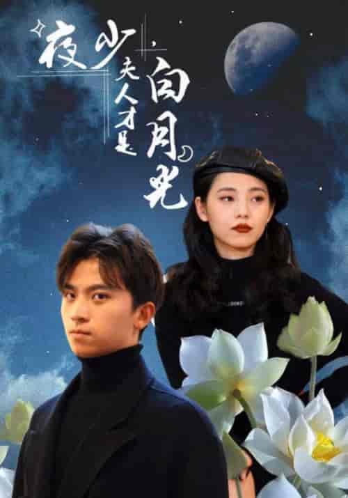 夜少，夫人才是白月光（101集全）夜南天＆慕容嫣 - 海之城短剧