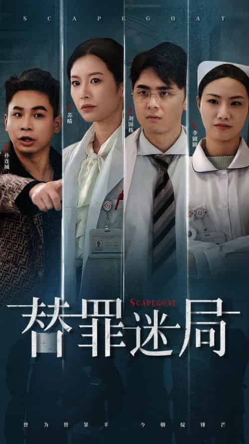 替罪迷局（42集全） - 海之城短剧