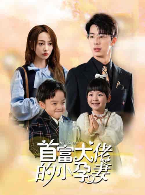 首富大佬的小孕妻（100集全） - 海之城短剧